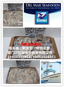 美國(guó)加州魷魚(yú)與海天使 電子商務(wù)的新藍(lán)海